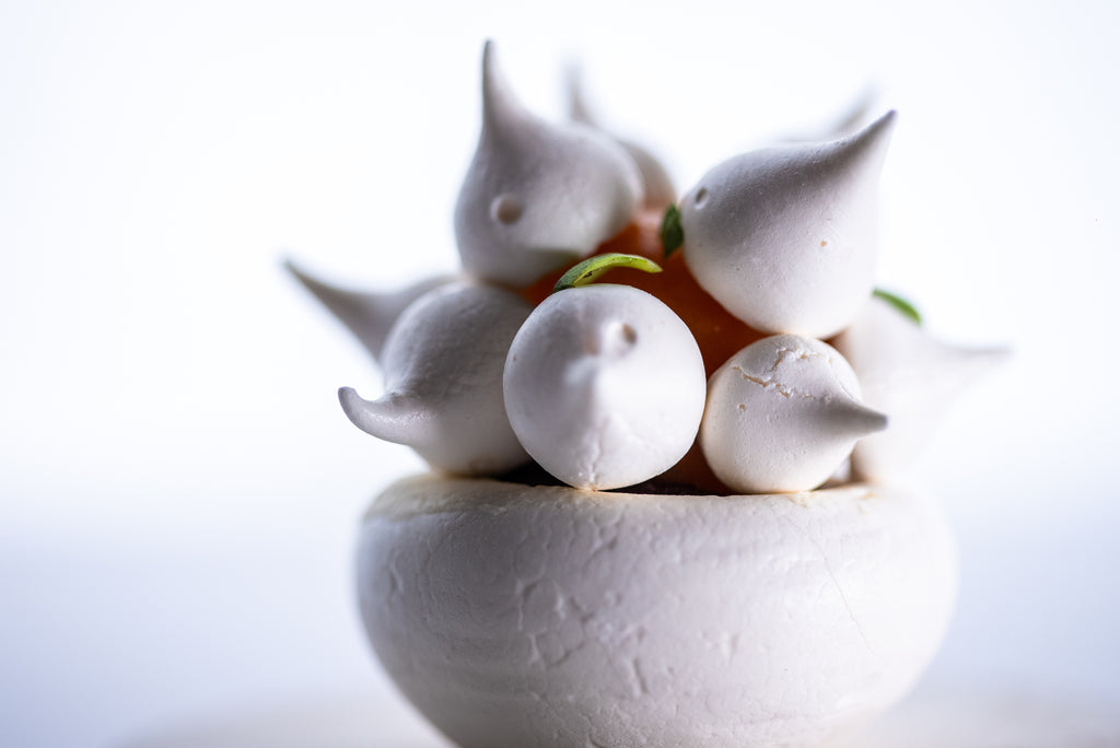 CLOUD OF BERRIES- 6 pieces